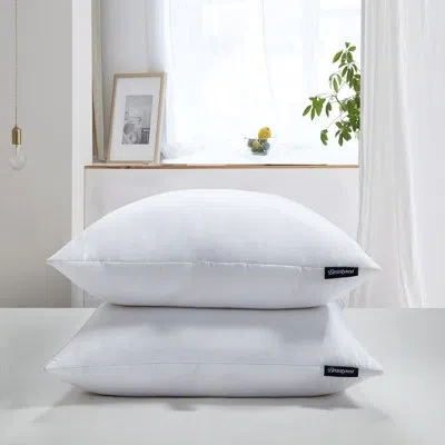 Beautyrest Cotton Softy-aroundfeather And Down Euro Pillow (2pk) - Firm