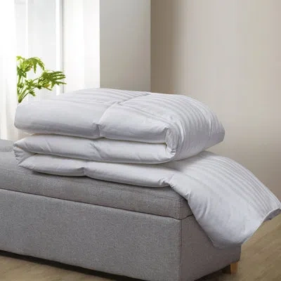 Beautyrest Damask Stripe 100% Us Grown Cotton Hungarian Goose Down Comforter - All Seasons In White