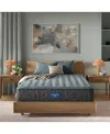 Beautyrest Level One 12.5" Medium Tight Top Mattress In Transparent