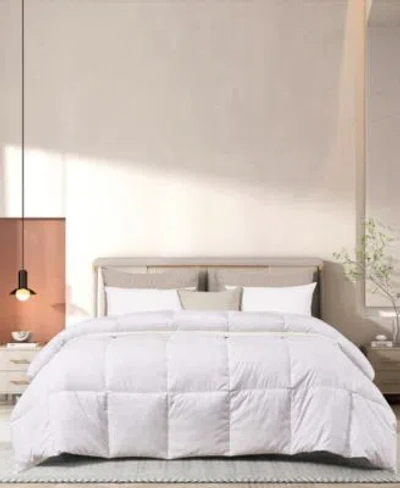 Beautyrest Microfiber Colored Feather Down All Season Comforter Collection In Gray