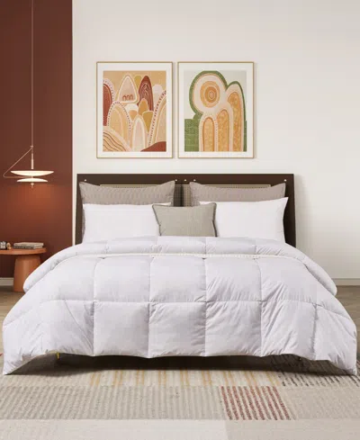 Beautyrest Natural Feather And Down Blend Comforter, Twin