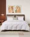 Beautyrest Natural Feather Down Blend Comforter