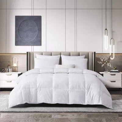 Beautyrest Tencel/cotton Blend Feather And Down Fiber Comforter - All Seasons In White