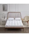 Beautyrest Tencel/cotton Blend Feather And Down Fiber Matress Topper In White