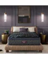 Beautyrest World Class Level Four 16.25" Plush Pillow Top Mattress In No Color