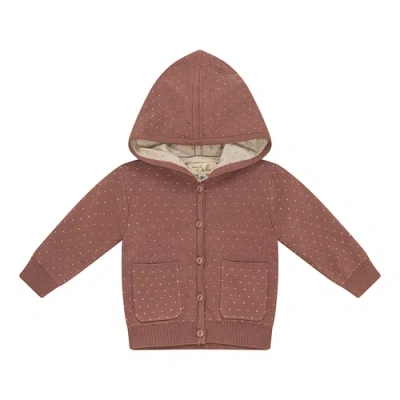 Bebe Bella Kids'  Knitted Hooded Jacket With Patch Pockets In Brown