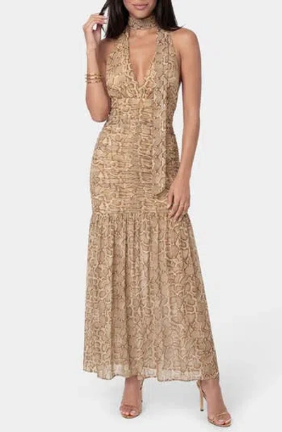 Bebe Print Mesh Halter Maxi Dress In Nude