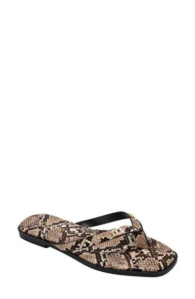Bebe Python Embossed Thong Sandal In Brown