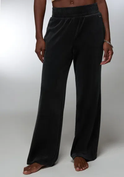 Bebe Velour Corded Wide Leg Pant In Black