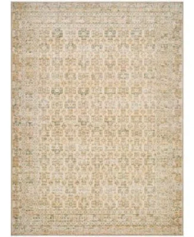 Becki Owens Renaissance 541943 Rug Collection In Light Beige,olive