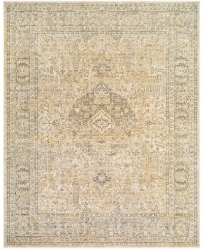 Becki Owens X Surya Renaissance 541918 7'10" X 9'10" Area Rug In Brown