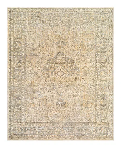 Becki Owens X Surya Renaissance 541918 Area Rug, 7'10x9'10 In Brown