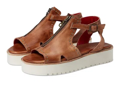 Bed Stu Clancy In Brown