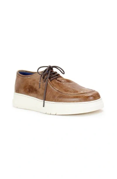 Bed Stu Webmaster Hybrid Sneaker In Brown