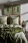 Bed Threads French Flax Linen Scalloped European Pillowcases - Set Of 2 In Sage & Olive