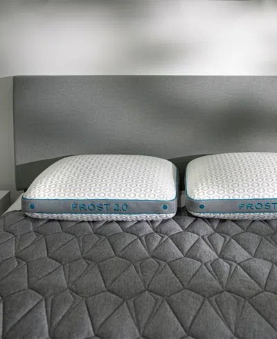 Bedgear Frost Performance 2.0 Pillow, Standard/queen In White