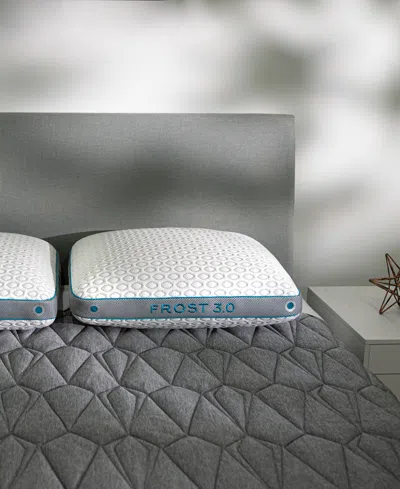 Bedgear Frost Performance 3.0 Pillow, Standard/queen In White