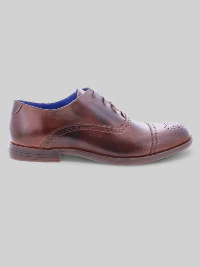 Bed:stu Donatello Ii Cap Toe Oxfords In Brown