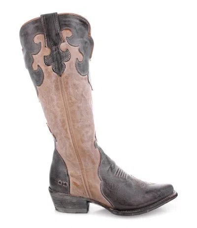 Bed:stu Women's Queen Cowgirl Boots In Black Oats Rustic White In Multi