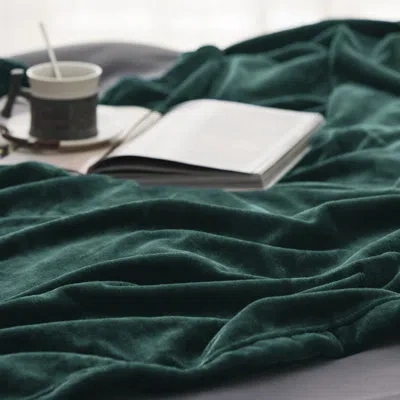 Bedsure 280gsm Soft Lightweight Plush Cozy Blankets For Bed, Sofa, Couch, Travel, Camping In Botanical Garden