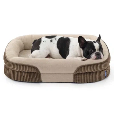 Bedsure Orthopedic Dog Bed For Medium Dogs, Oval Bolster Pet Sofa With Waterproof And Washable Soft Fleece C In Neutral