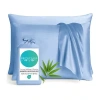 Bedvoyage 300tc Rayon From Bamboo Pillowcases In Blue