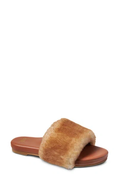 Beek Baza Genuine Shearling Slide Sandal In Honey Shearling/tan
