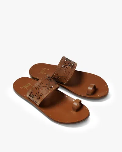 Beek Dove In Brown