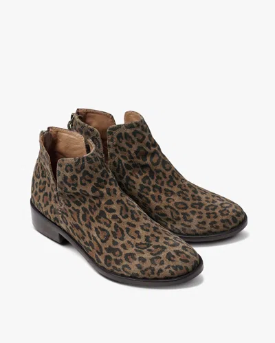 Beek Falcon - Leopard