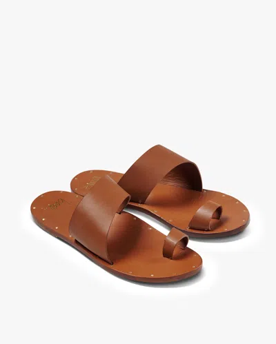Beek Finch In Brown