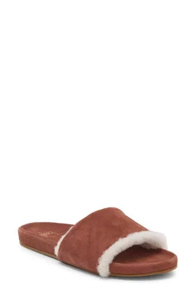 Beek Gallito Genuine Shearling Slide Sandal In Brown