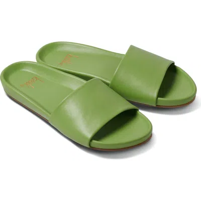 Beek Gallito Slide Sandal In Green