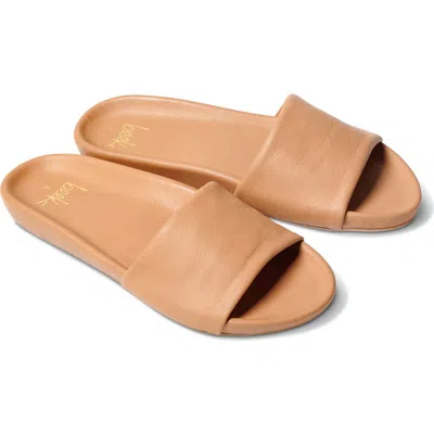 Beek Gallito Slide Sandal In Honey/honey