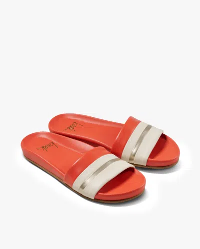 Beek Gallito Stripe In Red