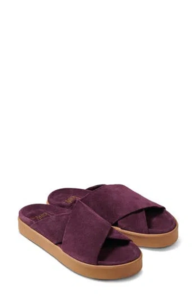 Beek Hen Slide Sandal In Purple