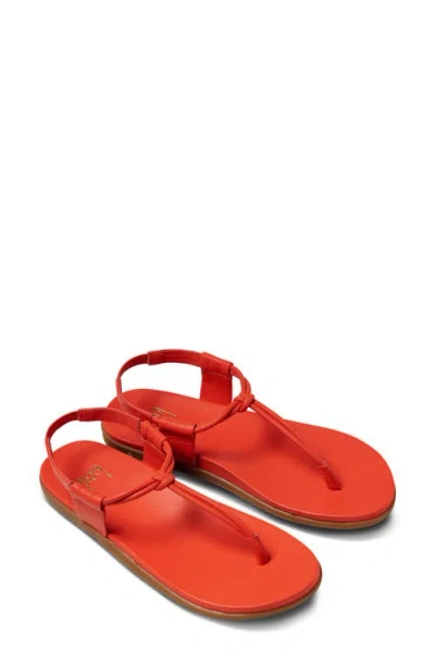 Beek Mango Ankle Strap Sandal In Red
