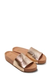 Beek Pelican Slide Sandal In Gold/honey