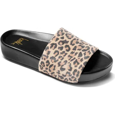 Beek Pelican Slide Sandal In Multi