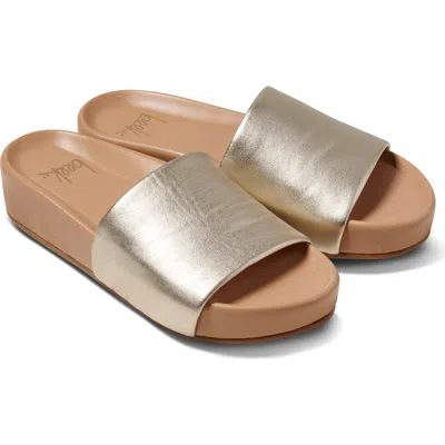 Beek Pelican Slide Sandal In Platinum Beach