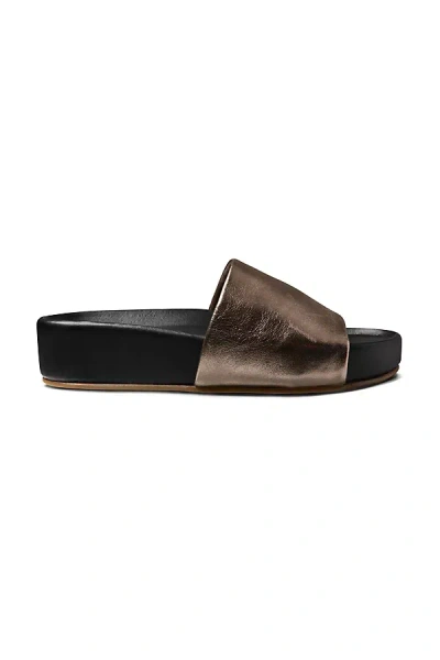 Beek Pelican Slide Sandals In Brown