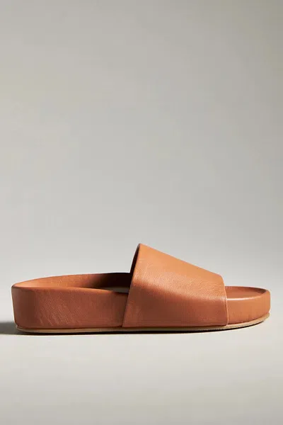 Beek Pelican Slide Sandals In Gold