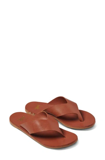 Beek Pip Flip Flop In Brown