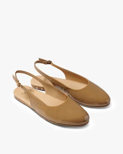 Beek Pipit In Brown