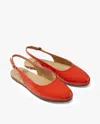 Beek Pipit In Red