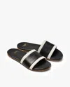 Beek Shorebird In Black