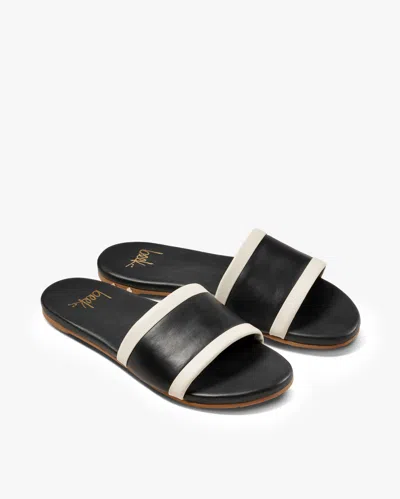 Beek Shorebird In Black