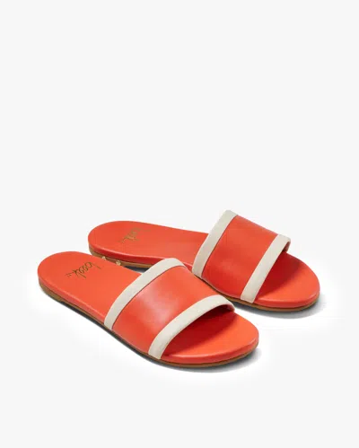 Beek Shorebird In Orange