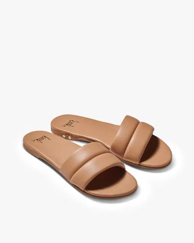 Beek Sugarbird In Brown
