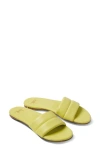 Beek Sugarbird Slide Sandal In Celery