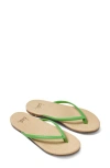 Beek Sunbeam Flip Flop In Green
